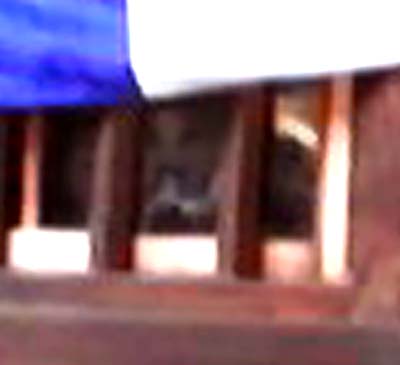 e0103408_19191875.jpg