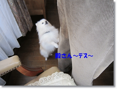b0167519_944275.gif
