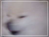 b0167519_950341.gif