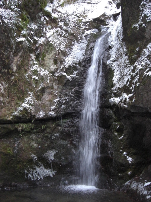 a0163738_0151456.jpg