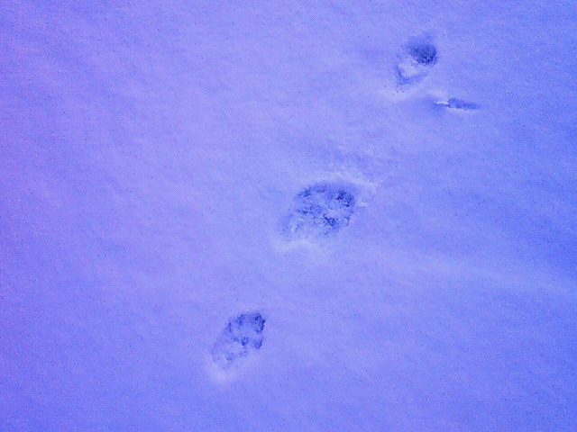 a0163738_031341.jpg