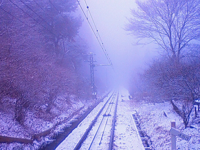 a0163738_0381784.jpg