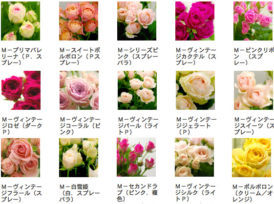 a0056140_2351414.jpg