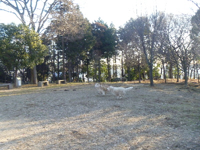 e0121548_2241971.jpg
