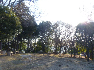 e0121548_22421799.jpg