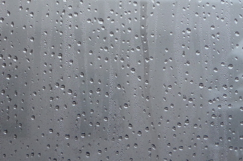 e0002850_22541827.jpg
