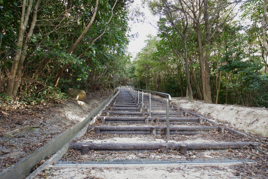 e0005253_017126.jpg