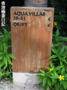 f0190653_1632498.jpg
