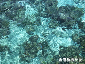 f0190653_18372549.jpg
