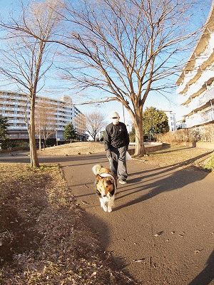 b0180764_2143131.gif