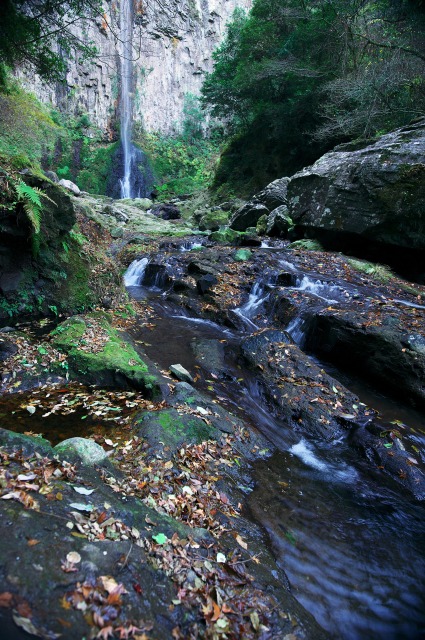 b0131167_22321268.jpg