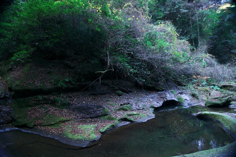 b0131167_22334875.jpg