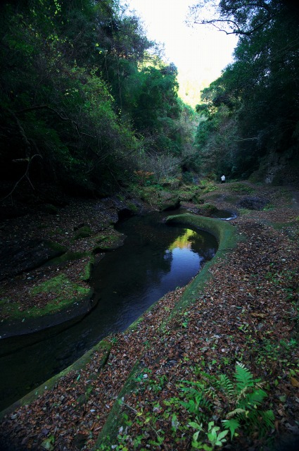 b0131167_22342515.jpg