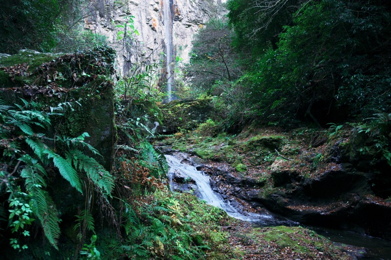 b0131167_22365875.jpg