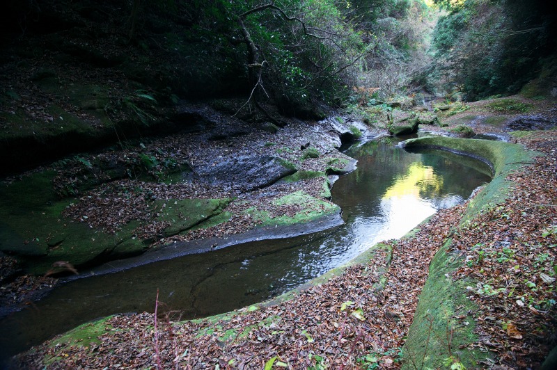 b0131167_22541586.jpg