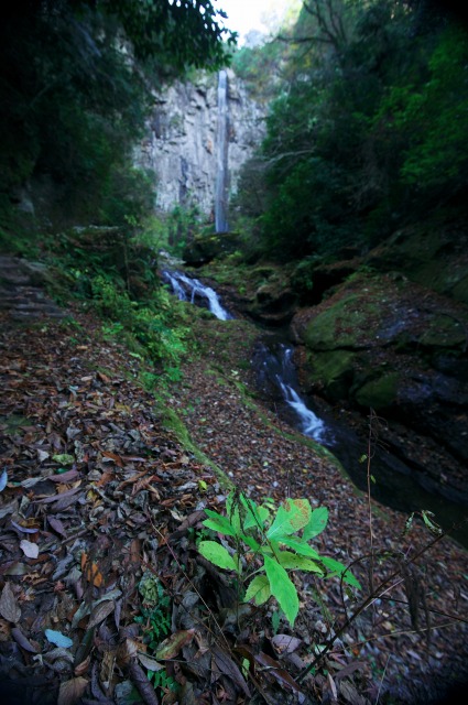 b0131167_239284.jpg