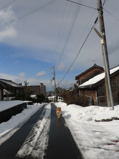 a0040978_19251229.jpg