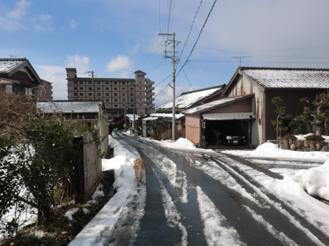 a0040978_19252665.jpg