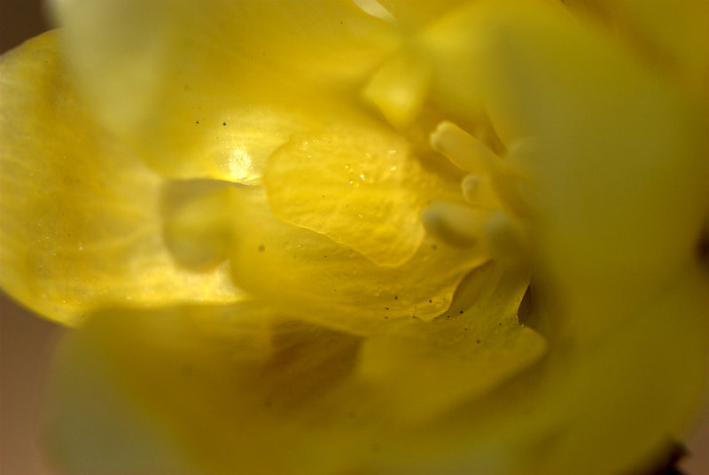 a0105281_18214158.jpg