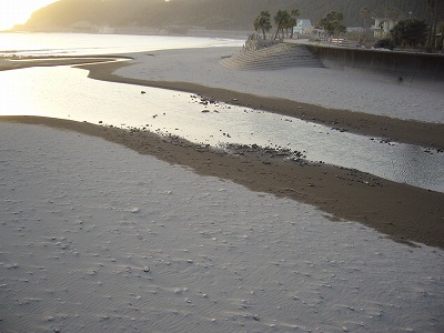 d0114583_933282.jpg