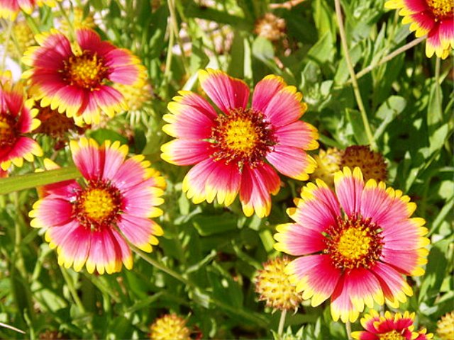 e0094583_10372145.jpg