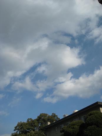 e0095183_17551827.jpg