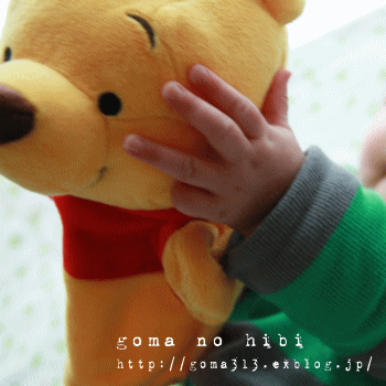 b0180085_203109.gif