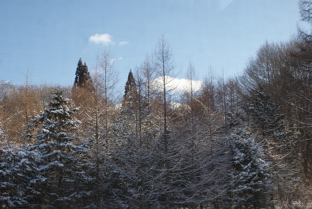 f0079289_156048.jpg