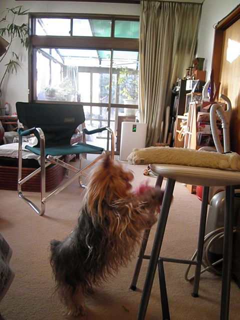 f0130894_2125853.jpg
