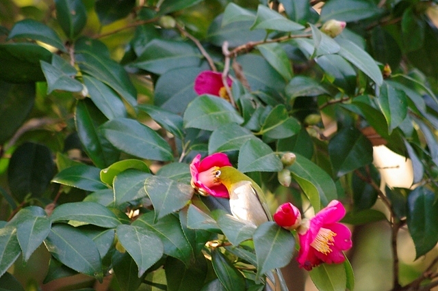 c0125596_21554817.jpg