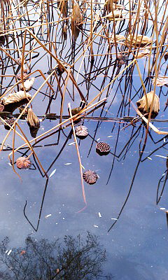 c0138198_12101493.jpg