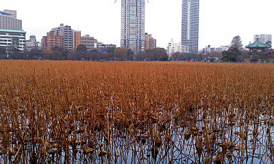 c0138198_12112594.jpg