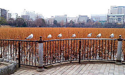c0138198_1265990.jpg
