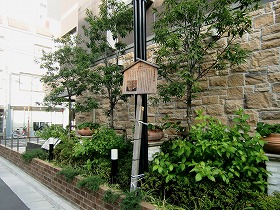 c0187004_1122922.jpg
