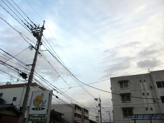 a0060806_2312827.jpg