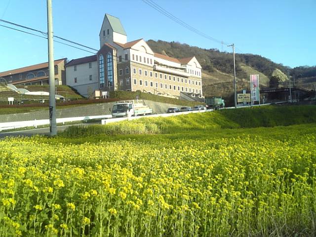 f0231709_11345223.jpg