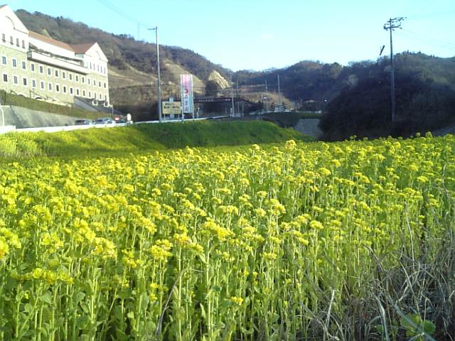 f0231709_11351715.jpg
