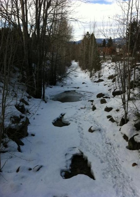 e0090610_8163713.jpg