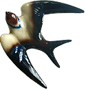 b0179814_9434399.jpg