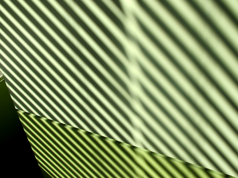 a0101715_8214832.jpg