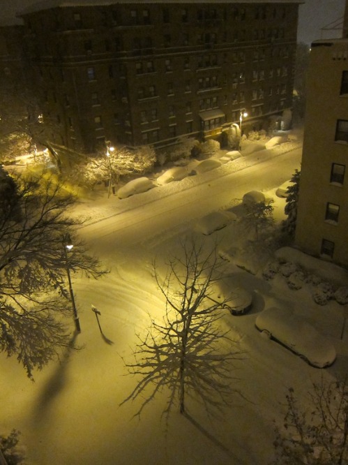 c0120817_0392446.jpg