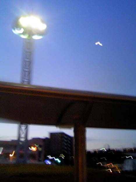 c0083518_8581413.jpg