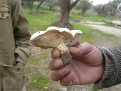 c0112823_80588.jpg