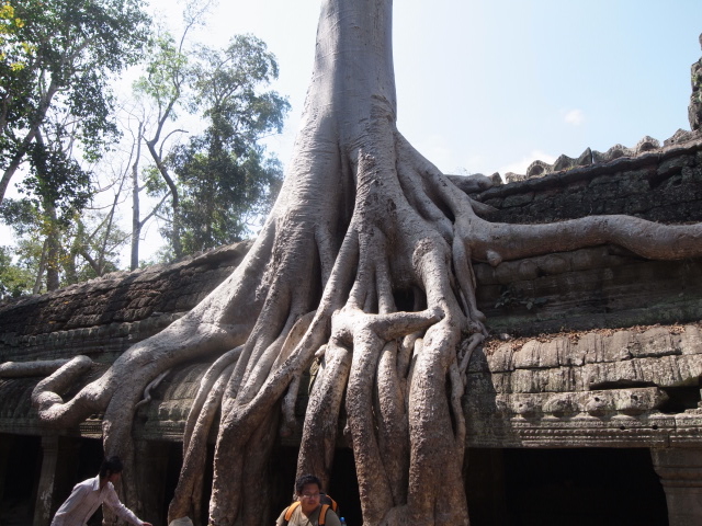 b0188724_21175348.jpg