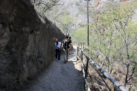f0137324_22154418.jpg