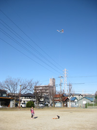 e0013927_1433426.jpg