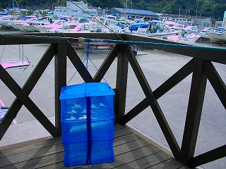 a0132631_19154115.jpg