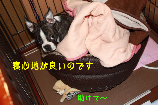 a0190132_2365649.jpg