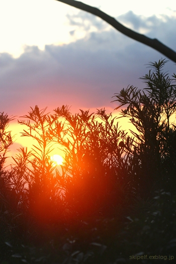 c0134734_2084928.jpg