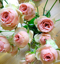 a0056140_14275198.jpg